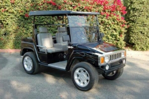 affordable golf cart rental, golf cart rent tallahassee golf cart rental 