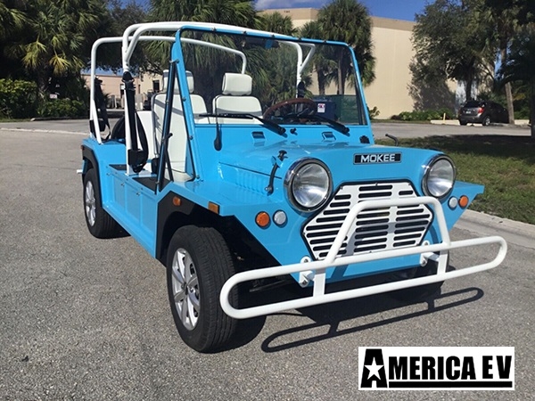 affordable golf cart rental, golf cart rent tallahassee golf cart rental 