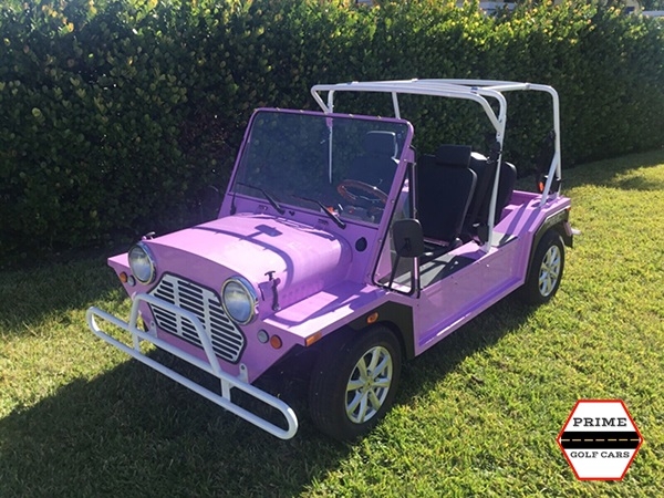 affordable golf cart rental, golf cart rent tallahassee golf cart rental 