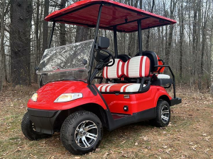 golf cart rental tallahassee, tallahassee golf cart rental